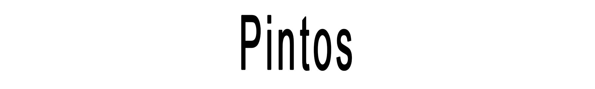 Pintos