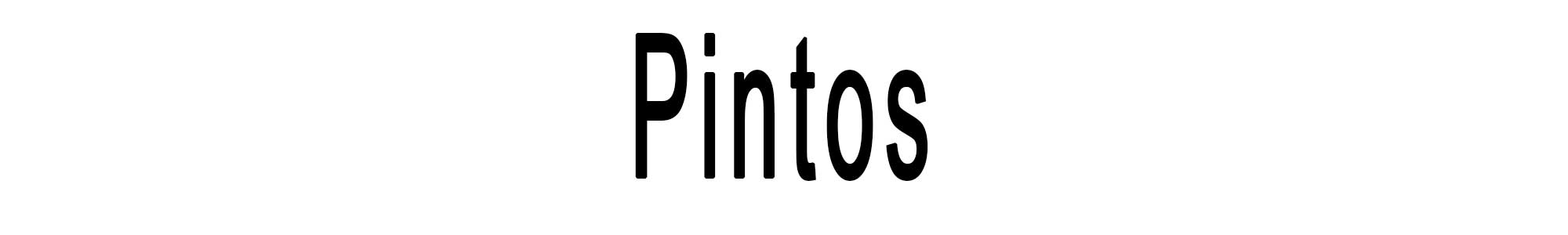 Pintos